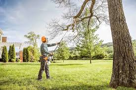 Best Lawn Irrigation Installation and Maintenance  in Adelino, NM