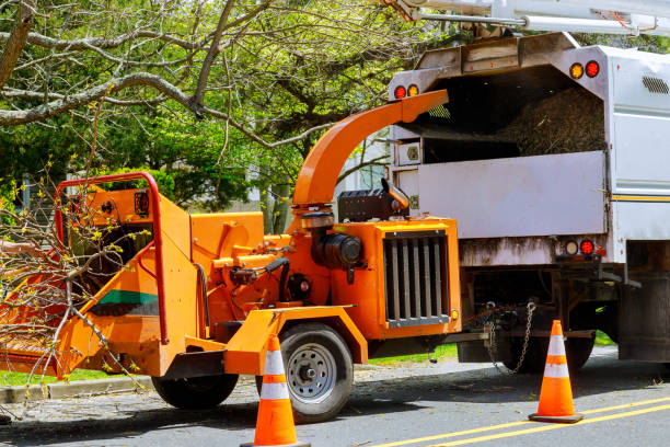 Best Utility Line Clearance  in Adelino, NM