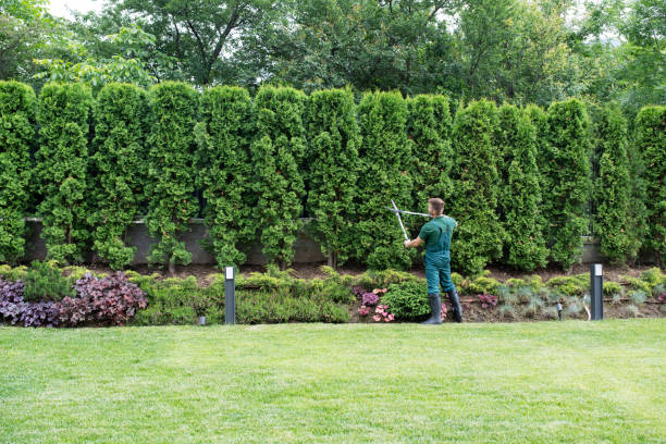 Best Commercial Tree Services  in Adelino, NM